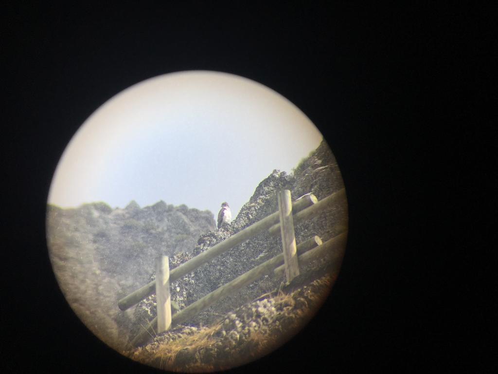 El Invernal De Picos Portilla de la Reina Buitenkant foto